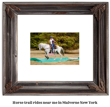 horse trail rides near me in Malverne, New York